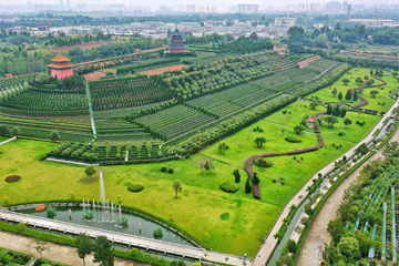 2025年成都金沙陵园价格