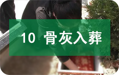 骨灰入葬 骨灰入葬