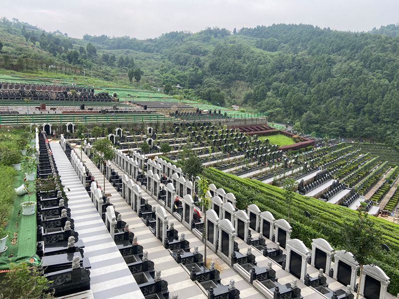 1681103171108271.jpg 1681103171108271.jpg